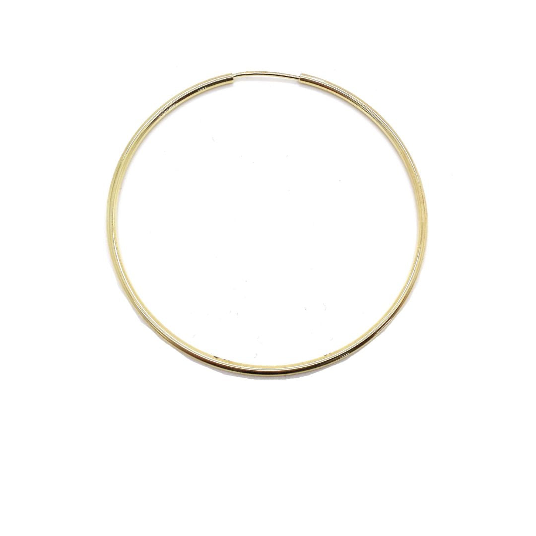 Hoop Earring - OR800